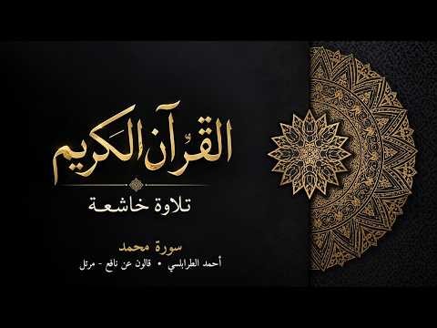 سورة محمد | أحمد الطرابلسي | قالون عن نافع - مرتل | تلاوة خاشعة