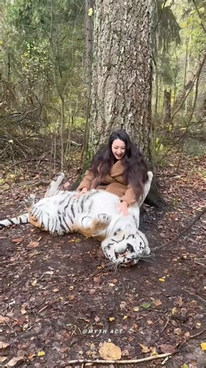 Why you shouldn’t keep wild animals as a pet ‼️