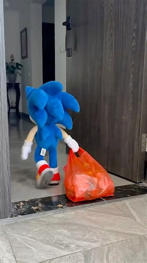 Why Sonic Leave Home ? #sonicthehedgehog #sonic #haaland