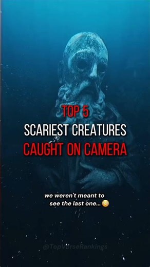 Alien-Like Creatures Discovered in the Deep Ocean 🌊