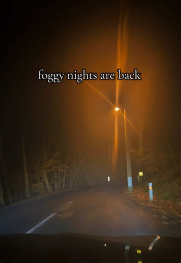 foggy night 🌫️ #foggy #foggynights #foggyroad