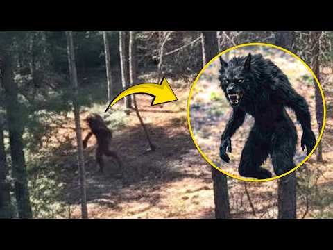 A Hiker Captured The Clearest Footage Of A Cryptid… It Was Terrifying!!!