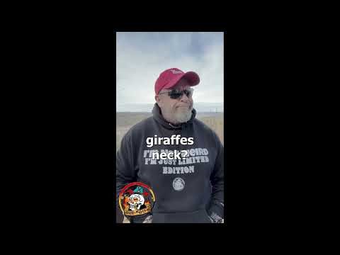 Funniest Dad Jokes #209