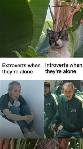 Extroverts vs Introverts when they’re alone 😂
