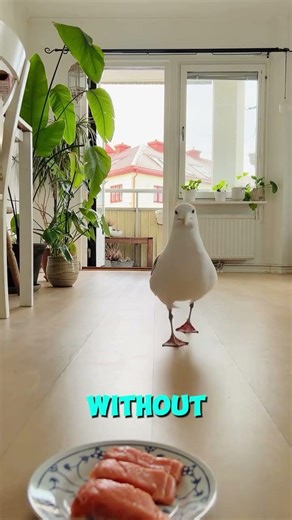 The duck takes bites and leaves without a trace