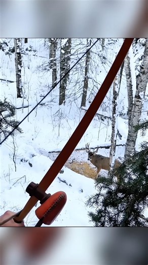 Best epic whitetail deer hunting #охота #hunting #deerhunting #huntinglife #wildlife #huntingseason