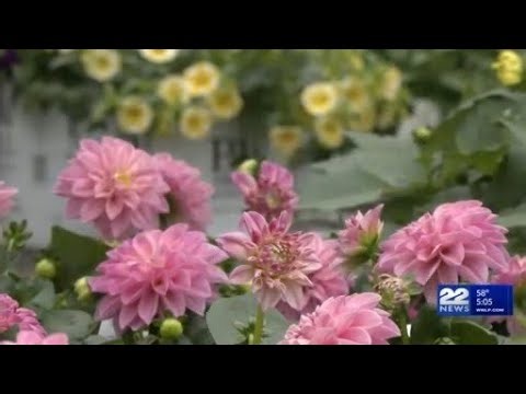 Planting season kicks off with warm weather and sunshine