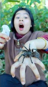 Survival Skills: SMART ideas and USEFUL In Forest With Single mom #outdoors #survival #camping