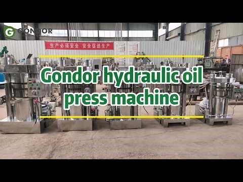 🛢️ Hydraulic Cold Press Oil Machine – Pure, Natural Oils Every Time!#oilpressmachine #hydraulicpress