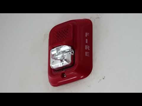 1-Hour Fire Alarm Sound Effect | System Sensor P2RL L-Series