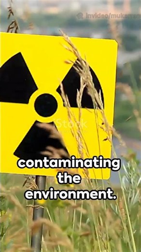 Nuclear Fallout: The Aftermath