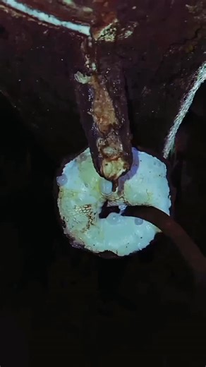 Petani Karet on Instagram: "Latex rubber tree #latex #rubber"