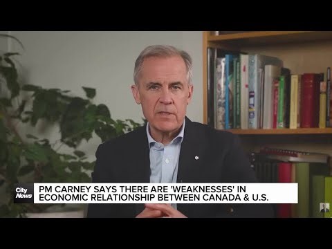 Carney: 'Weaknesses' in economic relationship between Canada and U.S.