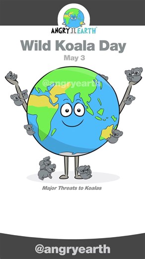 Wild Koala Day - May 3 #savethekoalas