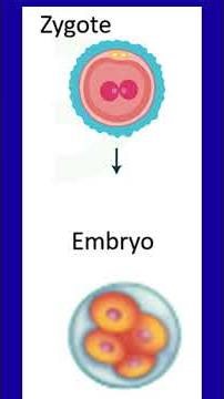 Class 10 Science | Reproduction in Humans | CBSE Board Exam Quick Revision