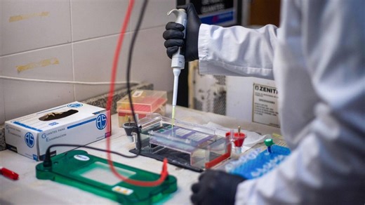 Hantavirus des Andes: la face négligée de la préparation aux pandémies - Le Temps
