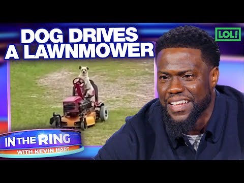 Funniest Caught On Doorbell Cam Moments | In The Ring with Kevin Hart | S1 E1 | LOL! Network