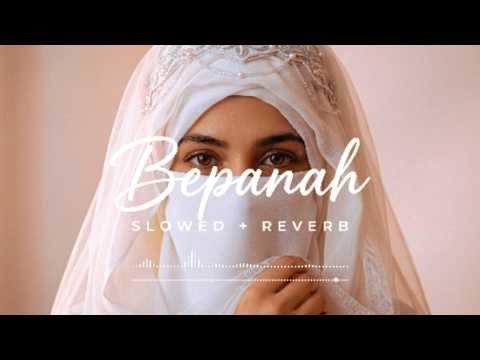 Bepanah Pyar Hai Aaja 💔 | Broken Heart Lofi | Slowed + Reverb | Alone Night Vibes