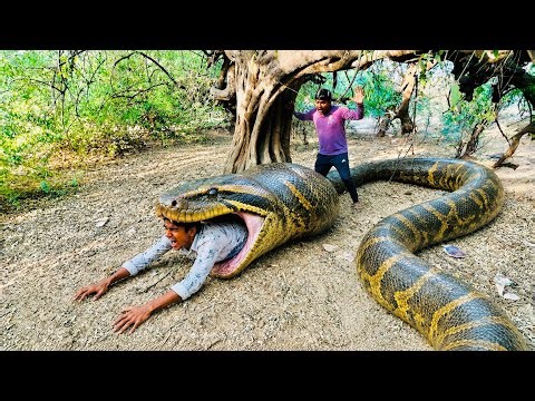 Giant Anaconda Swallows Boy in Jungle 😱🐍 | Shocking Snake Attack
