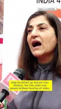 Stray dogs issue: Activists, citizens protest at Delhi's Jantar Mantar