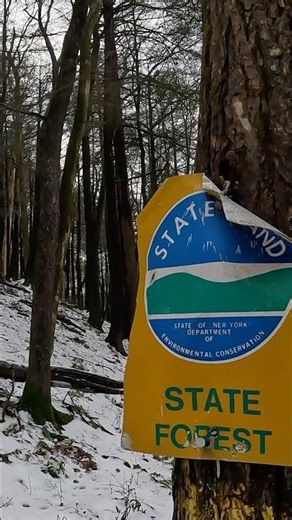 Muzzleloader Deer Hunting Public Land #deer #deerhunting #deerseason