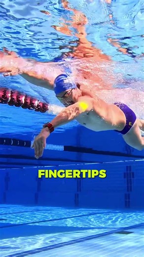 Everything you were taught about the freestyle pull is wrong, watch this!