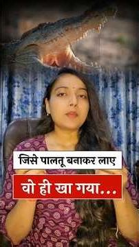 Burmese Python Invasion: How Florida Lost Control #shorts #burmesepython #snakehead