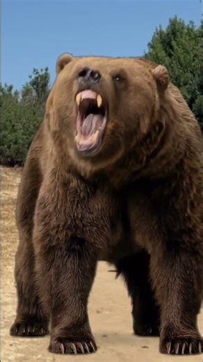 Wild Encounters: Bear vs Alien? You Won't Believe What Happens Next! #shorts