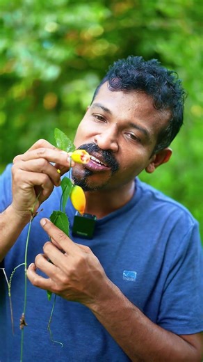 Mmm, delicious! 🤤