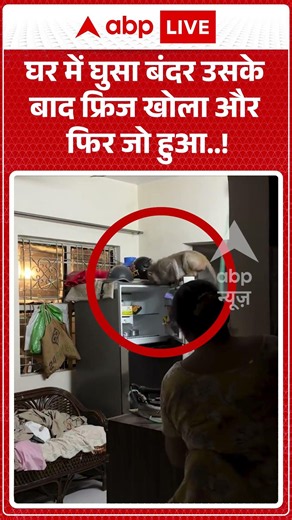Viral News : घर में घुसकर फ्रिज खोलकर क्या क्या चुरा ले गया बंदर? #shorts #monkey #viralvideo