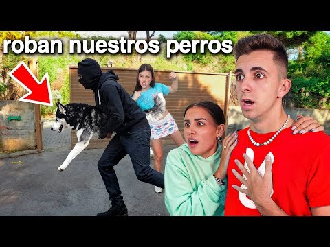 SECUESTRAN A MI PERRO y me PIDEN 3.000€ para RESCATARLO...