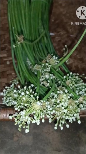 କୁରୁକୁରିଆ ପିଆଜ ପତ୍ର ବରା | Spring Onion Fritter #shorts #viral #recipe #onionfritters #youtubeshorts