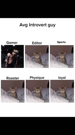 SHUBHAM CHAVAN on Instagram: "Thats me . . . Introvert Memes, Introvert Vs Extrovert, Introvert Problems . . #introvert #introvertmemes #introverts"