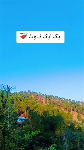 Live Highlights and Unfreezing Account Solutions