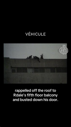 The Miami Drug Wars Busts Compilation (1978–1987) In the late 1970s, South Florida became the main gateway for drugs entering the United States. What started with marijuana smuggling quickly exploded into a massive cocaine empire as Colombian cartels took control. By the early 1980s, Miami had turned into one of the most dangerous cities in America. Tons of cocaine flooded the streets, cartel money poured in, and violence skyrocketed. This was the Cocaine Cowboys era, a time of record drug busts