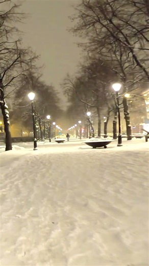 ASMR Winter in Oslo: Heavy Snowfall & Silent Streets (Midnight Walk) 🌨️🤍