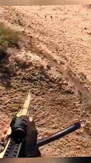 Wild Boar Attack Caught on Camera 😱