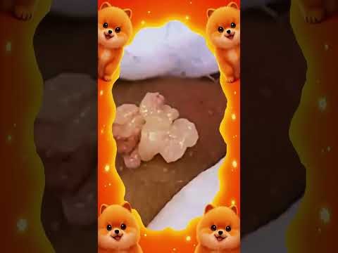 Satisfying Blackhead Removal | Acne Treatment, Pimple Pop & Deep Skin Clean-Up