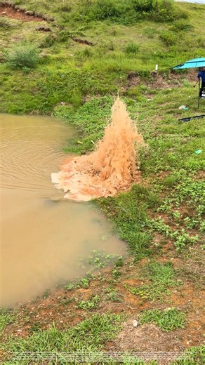 A thousand-mile-long dike can collapse because of an ant hole.