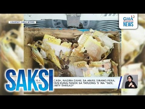 P25,000 na ipong cash, nasira dahil sa anay | Saksi