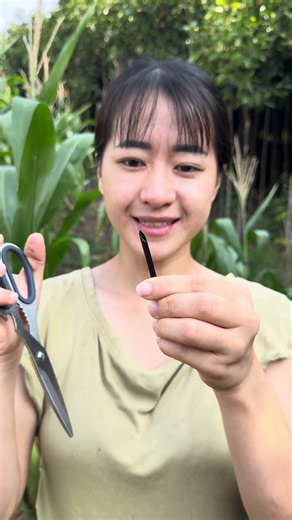 use scissors to cut the end of the straw #bushcraft #survival #shorts #camping