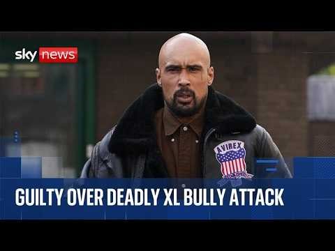 Drill rapper sentenced for XL bully attack that killed woman in his home | Cameras in court