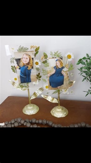 Creative Dollar Tree Organization Hacks You Need to Try