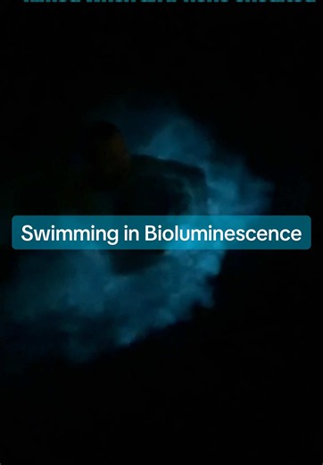 Bioluminescence last night in San Diego was amazing! Here is a video of me swimming in it which was filmed with an iPhone. This bio seems to be spread out through much of Mission Bay. #bioluminiscence #sandiego #bio #california #swim