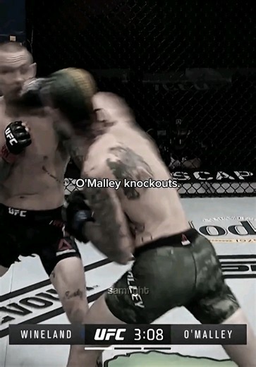 O'Malley Knockouts: Best Sean O'Malley UFC Finishes