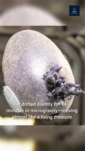 Mysterious Alien-Like Object Spotted on the International Space Station!