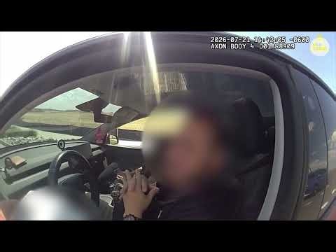 Tesla autopilot blamed for speeding but bodycam shows motorist lose argument that he wasn't driving