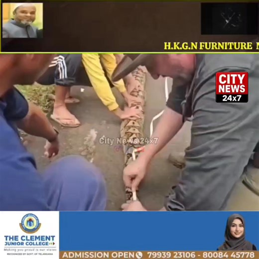 #World’s Longest Snake Discovered in Indonesia The world’s longest #snake has been discovered in Indonesia’s Sulawesi region. A female reticulated python #named ‘Ibu Baran’ has set a new record, measuring 7.22 meters (23 feet 8 inches) in length. Guinness World Records confirmed the measurement on January 18, sharing the update on social media, where the post quickly went viral. #Weighing an astonishing 97 kilograms, the massive serpent has left experts and onlookers in awe. 🐍 | City News 24X7