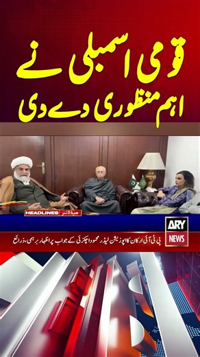 National Assembly approves electoral reforms committee #breakingnews #nationalassembly #shorts