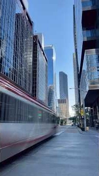🚌 A Ride to Downtown Calgary, Alberta, Canada 🇨🇦 | City Views #shorts #fall #autumn